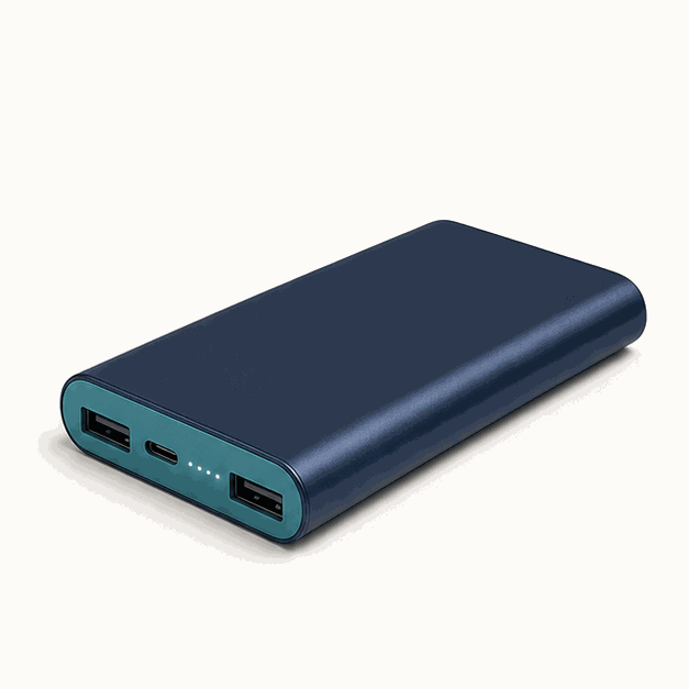 LoomCharge Power Bank